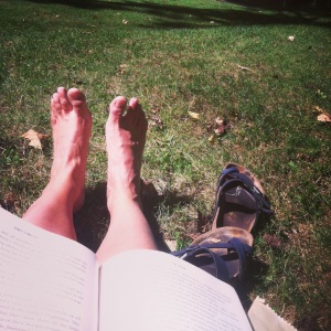 Library book in my lap = happiness.